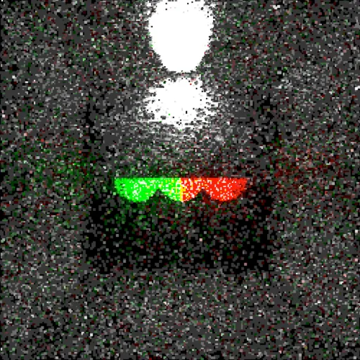 RC Tracing 1.1によってレンダリングされた画像。バージョン1.0よりも暗所部のノイズが減っている。