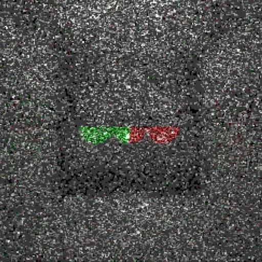 RC Tracing 1.2によってレンダリングされた画像。バージョン1.1よりも明暗部の差が減っている。