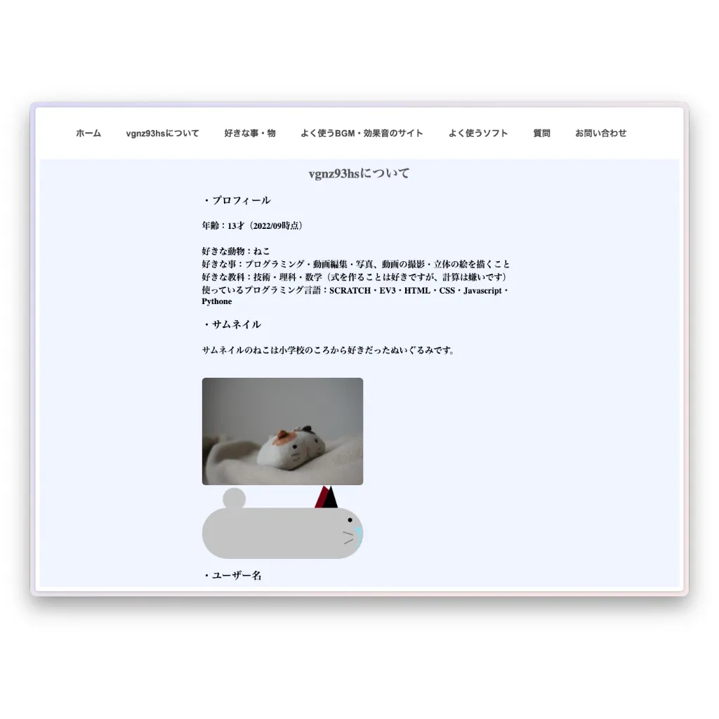 プログラミングや動画編集を趣味とするユーザー「vgnz93hs」のプロフィール画面。13歳（2022年時点）であることや、使用言語、猫のぬいぐるみの写真などが掲載されている。