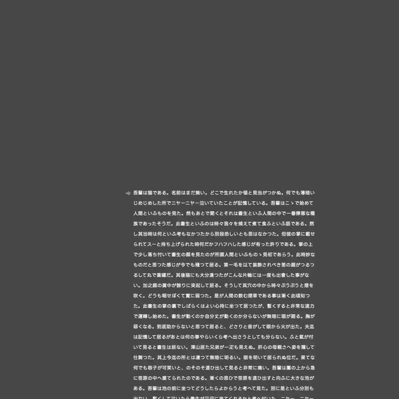 アプリのスクリーンショット。暗い灰色の画面の上に、長文のテキストが表示されている。上半分は空白となっており、テキスト全体の幅は画面の幅の2分の1ほど。
