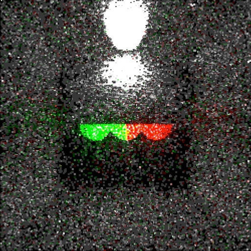 An image rendered by RC Tracing 1.1 with reduced noise in dark areas compared with version 1.0.