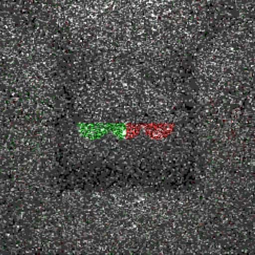 An image rendered by RC Tracing 1.2 with a smaller brightness gap between light and dark areas than version 1.1.